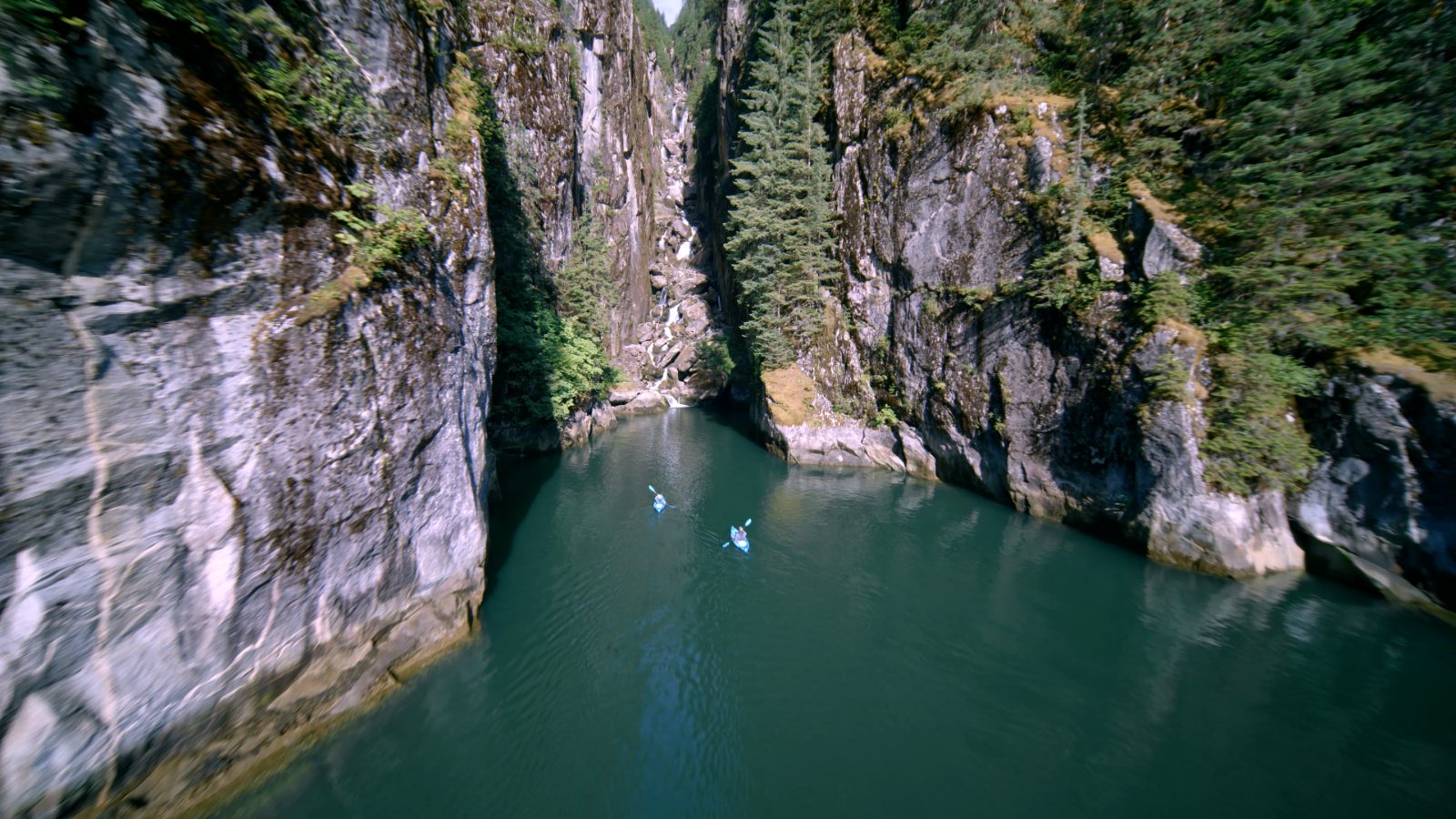 Fjord and spruce forest from above