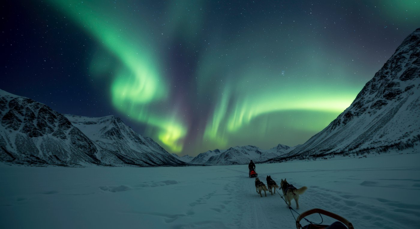 Dog sled team under the northern lights