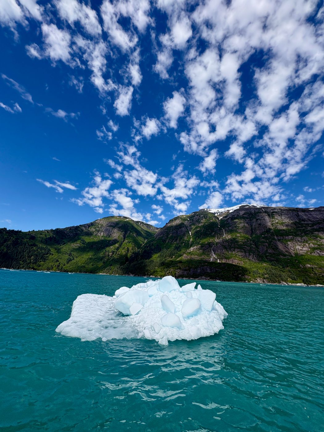 Tracy Arm