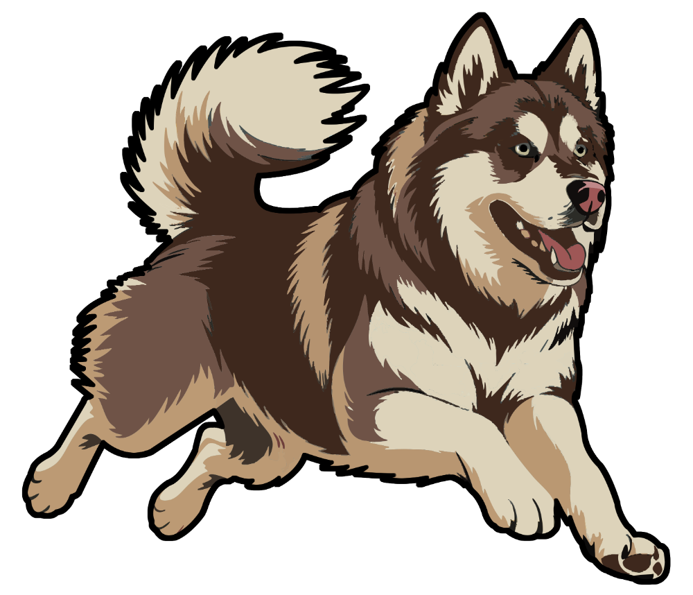 Finn, the Alaskan malamute guide, running